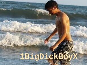 1BigDickBoyX