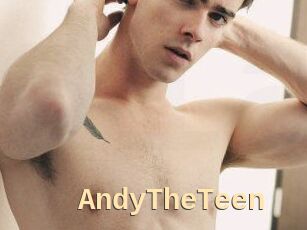 AndyTheTeen