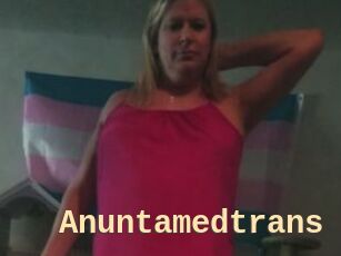 Anuntamedtrans
