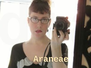 Araneae