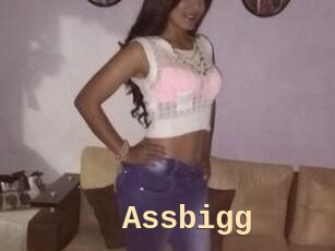 Assbigg