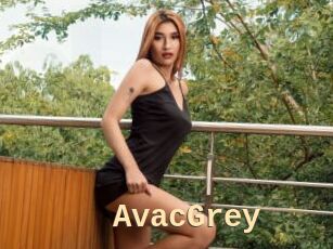 AvacGrey