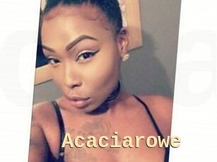 Acacia_rowe