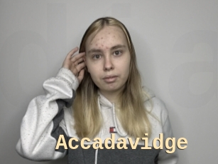 Accadavidge
