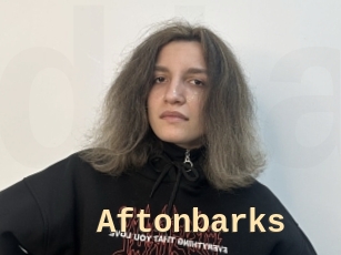 Aftonbarks