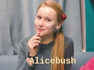 Alicebush
