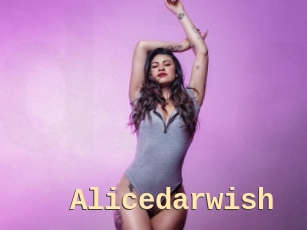 Alicedarwish