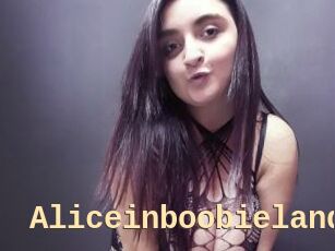 Aliceinboobieland