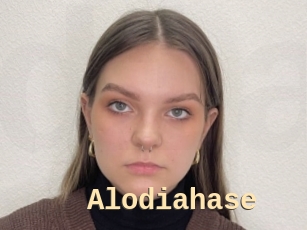 Alodiahase