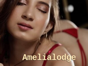 Amelialodge