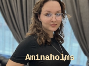 Aminaholms
