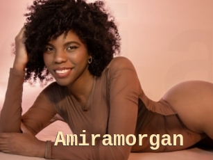 Amiramorgan