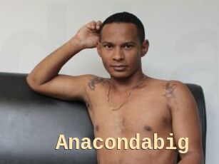 Anacondabig