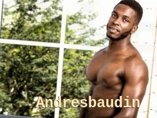 Andresbaudin