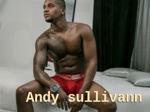 Andy_sullivann