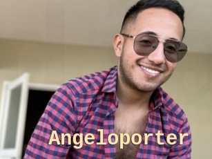 Angeloporter