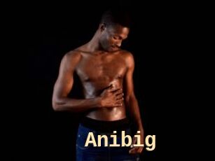 Anibig