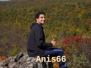 Anis66