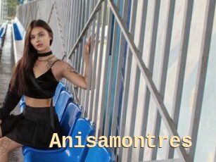 Anisamontres