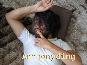 anthonyding Dialogue Sexe