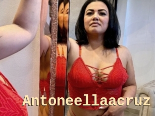 Antoneellaacruz