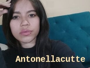 Antonellacutte