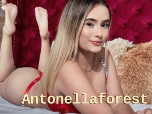 Antonellaforest