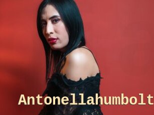 Antonellahumbolt