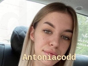 Antoniacodd
