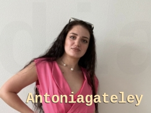 Antoniagateley