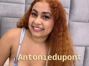 Antoniedupont