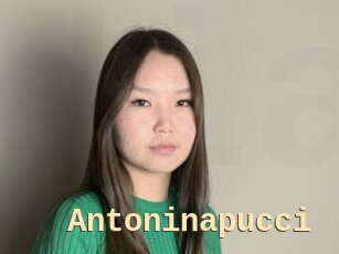 Antoninapucci