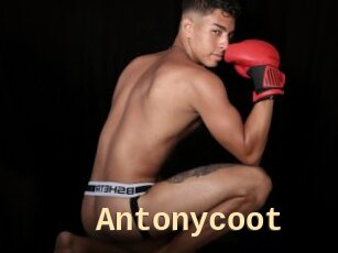 Antonycoot