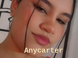 Anycarter