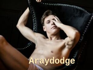 Araydodge