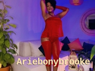 Ariebonybrooke