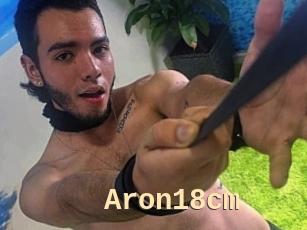 Aron18cm