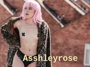 Asshleyrose