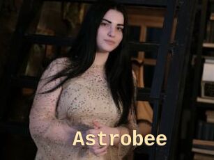 Astrobee