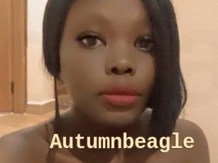 Autumnbeagle