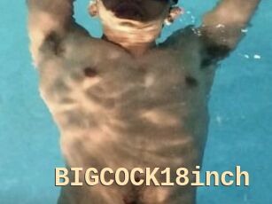 BIGCOCK18inch