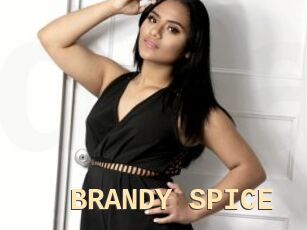 BRANDY_SPICE
