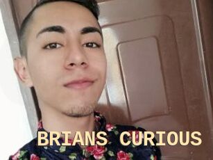 BRIANS_CURIOUS
