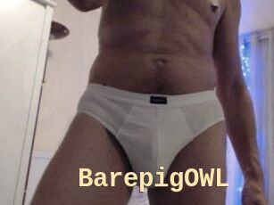 BarepigOWL