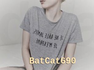 BatCat690