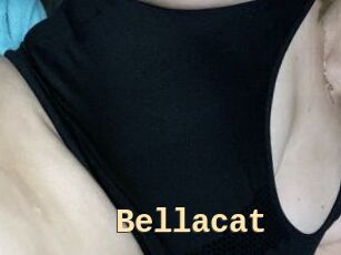 Bella_cat