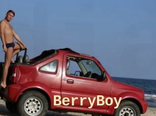 BerryBoy