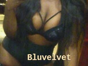 Bluvelvet