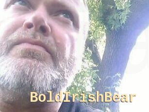 BoldIrishBear