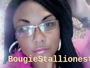 BougieStallionest